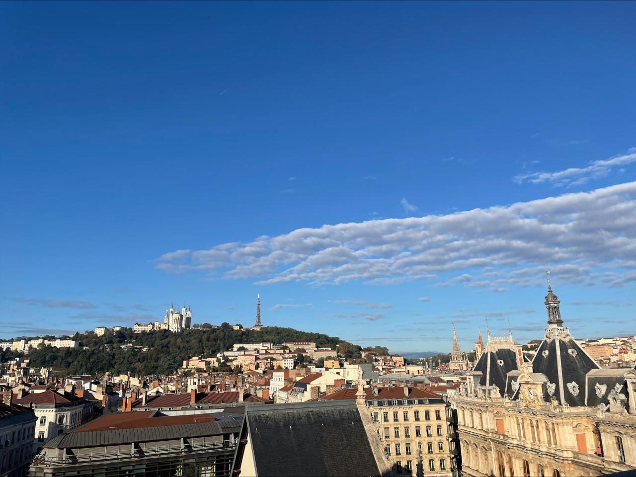 Bureau Lyon 1195m² Location bureau Lyon Rhône OLBUR2311050 11